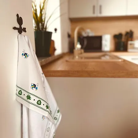 Appartamento Skoczybruzda